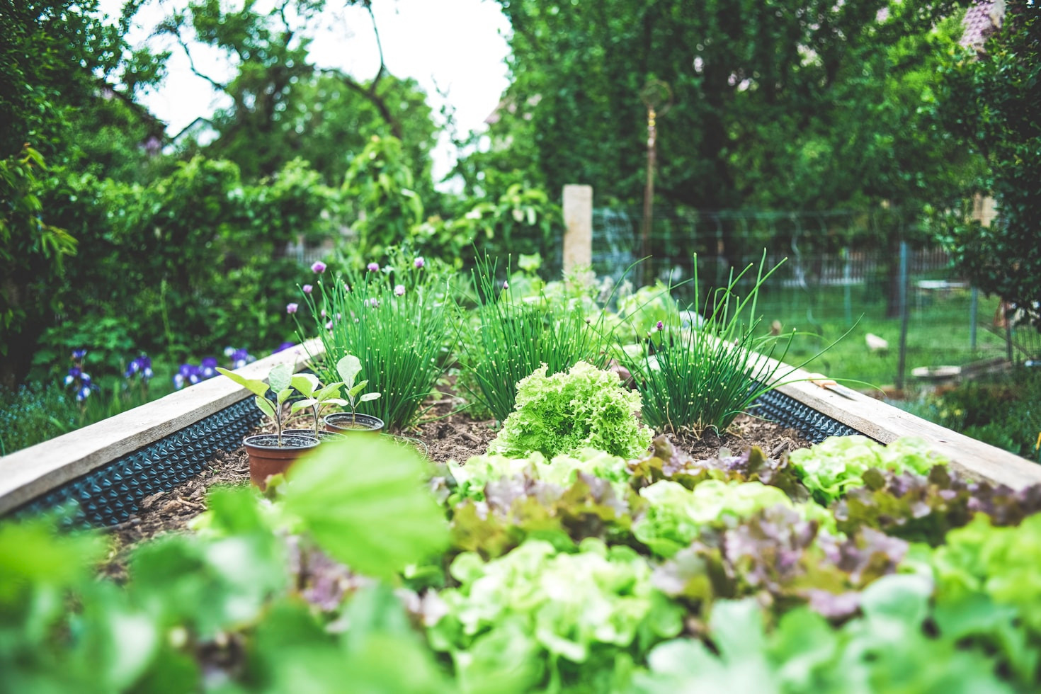 Sustainable Gardening Hacks for Small Spaces – A Story About Growing More With Less